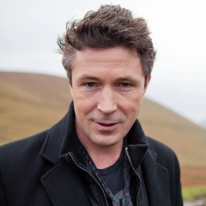 Aiden Gillen