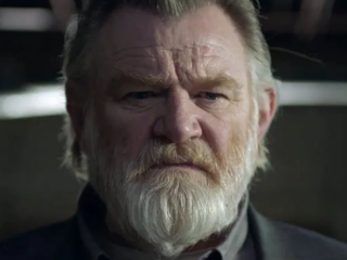 Brendan Gleeson