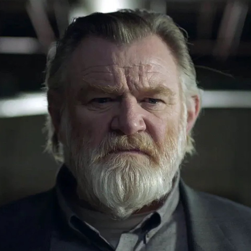 Brendan Gleeson